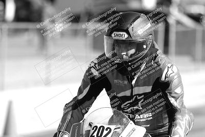media/Feb-23-2025-2WTD (Sun) [[9604a77d5d]]/1-Around the Pits/